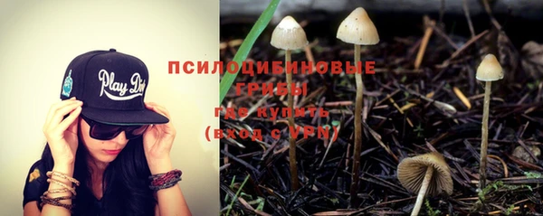 соль ск Балахна